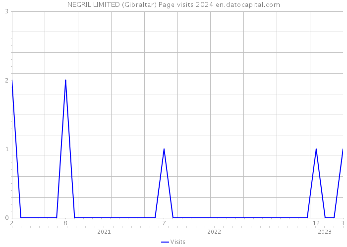 NEGRIL LIMITED (Gibraltar) Page visits 2024 