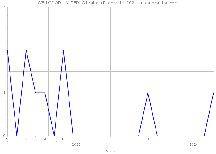 WELLGOOD LIMITED (Gibraltar) Page visits 2024 